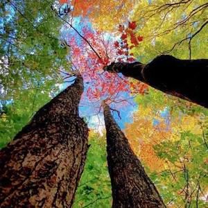 Meet your Posher, Tabitha